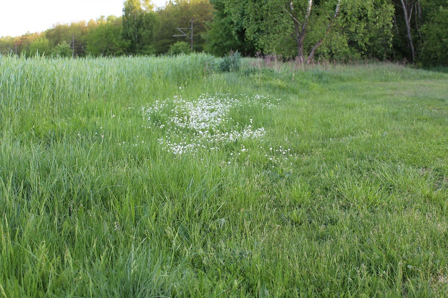 Garten Raddusch