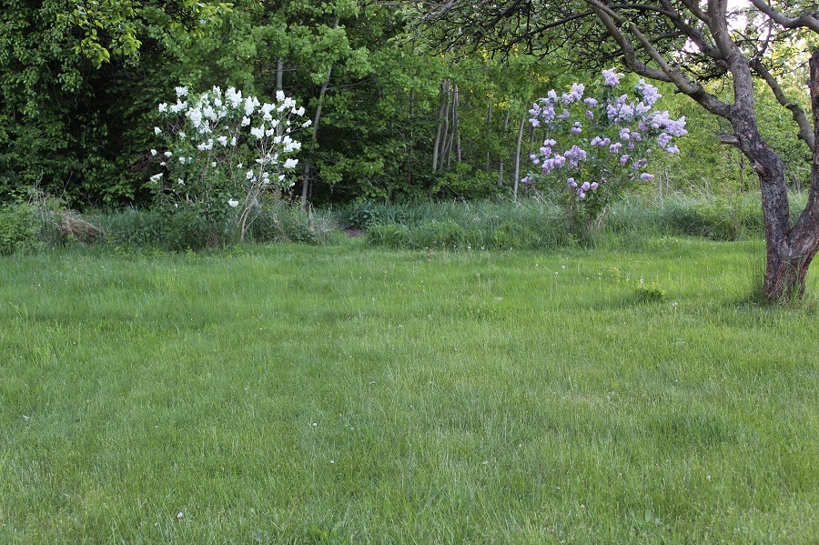 Garten Raddusch