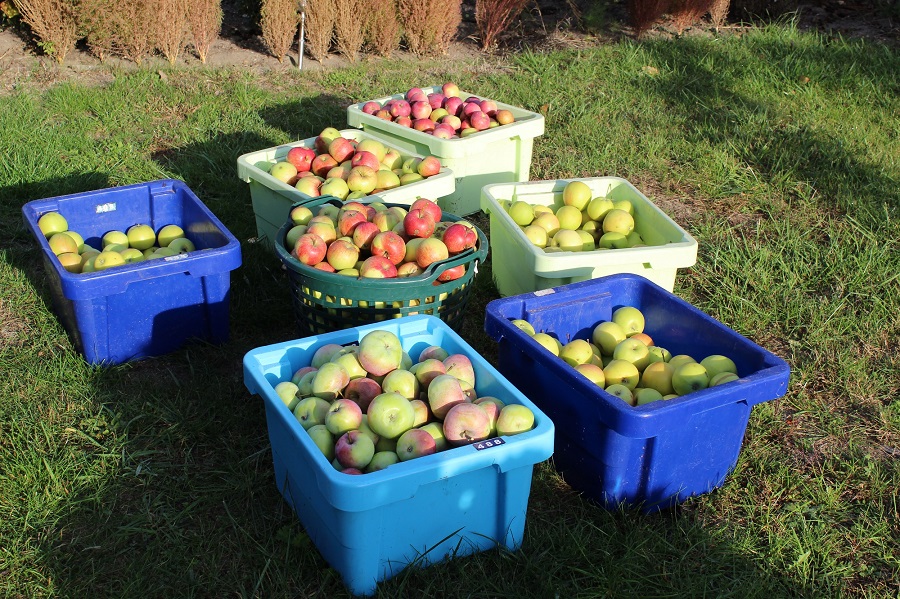 Garten Raddusch
