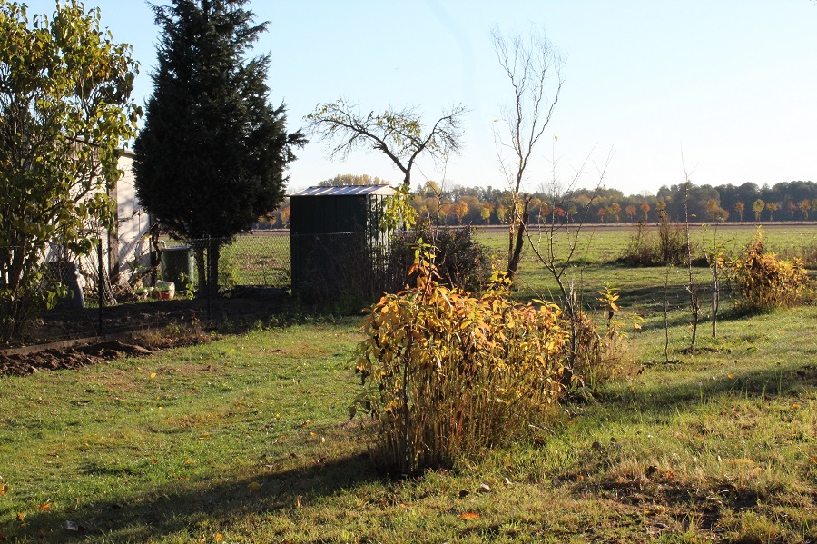 Garten Raddusch