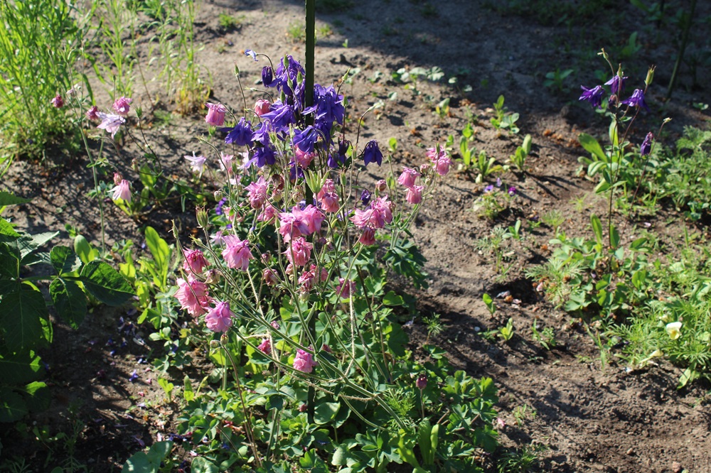 Garten Raddusch