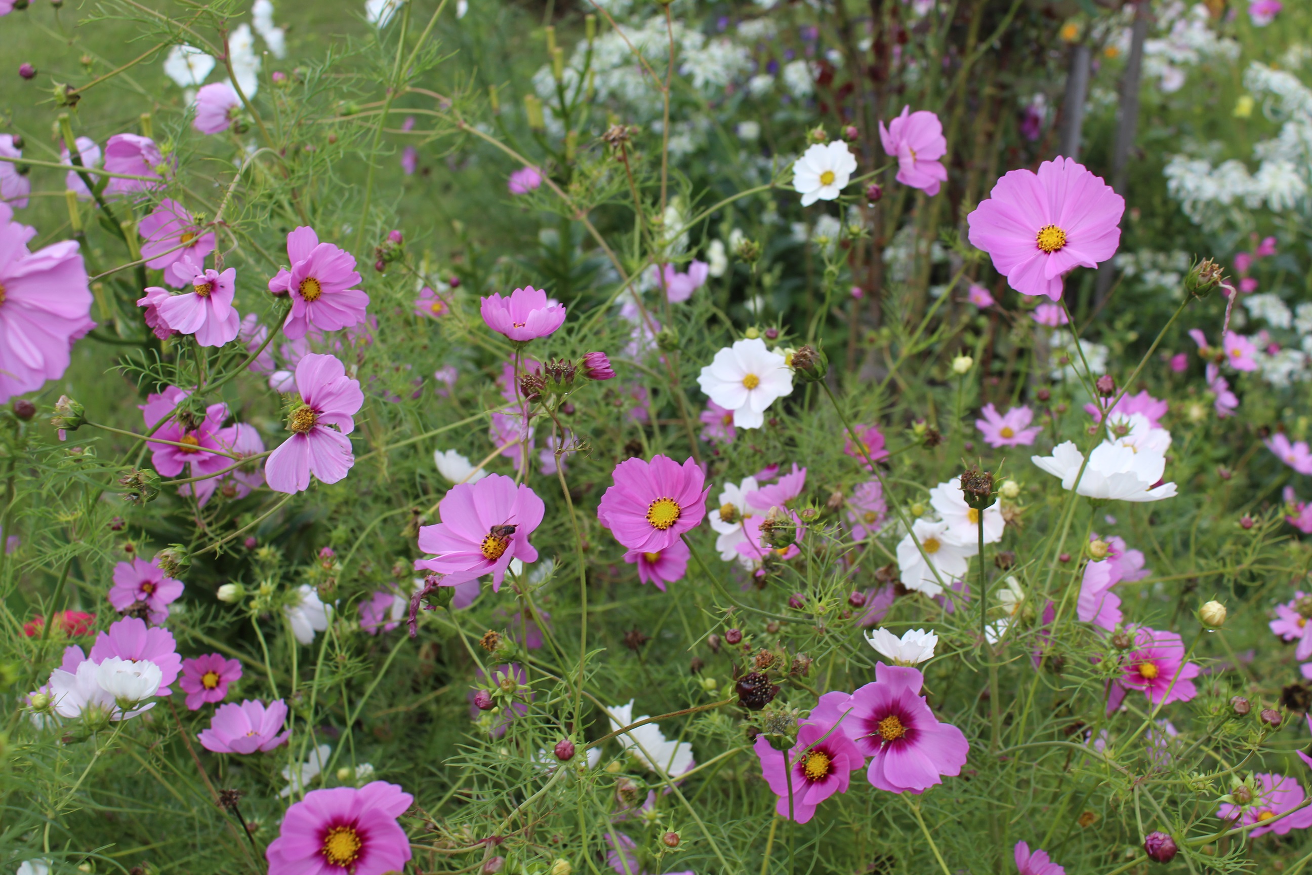 Garten Raddusch