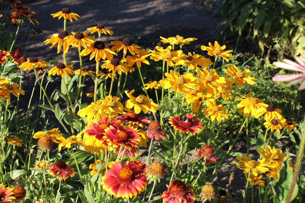 Garten Raddusch