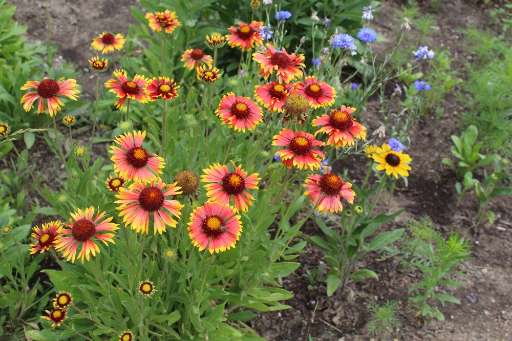 Garten Raddusch