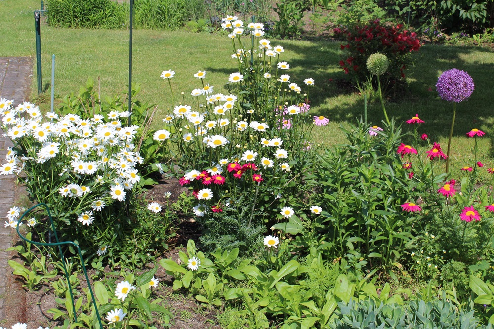 Garten Raddusch