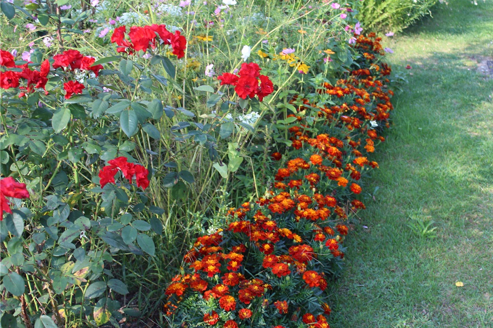 Garten Raddusch