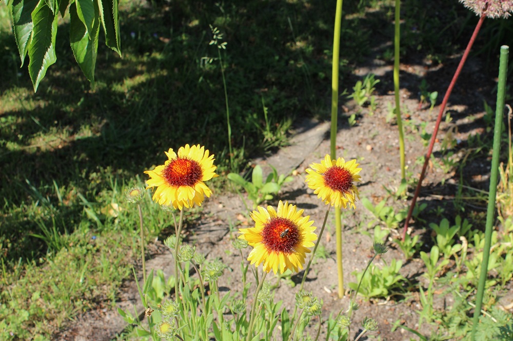 Garten Raddusch