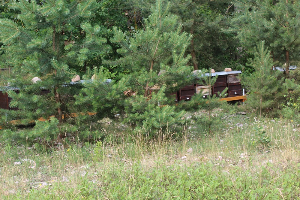 Garten Raddusch